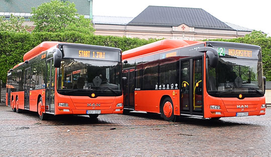MAN-bussar