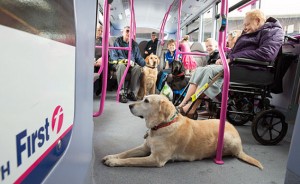 Brittiska bussjätten First ska utbilda 17 000 bussförare i service för synskdade. Foto: First Group.
