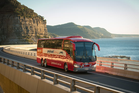 En Volvo B11R i Greyhound Americas färger. Foto: Volvo Bussar.