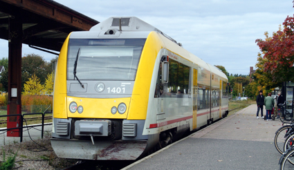 En gökunge? Dagens ensidiga spårsatsningar är varken välgrundade eller kostnadseffektiva utan handlar mer om symbolpolitik och dogmatik, anser Sveriges Bussföretag. Foto: Ulo Maasing.